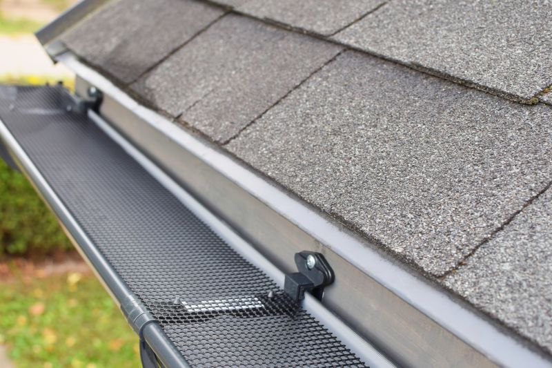Before and After Gutter Cover Installation