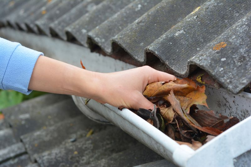 Gutter Leaf Guards